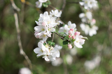 Similar image 22730178