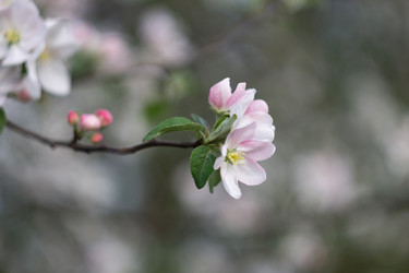 Similar image 22730180