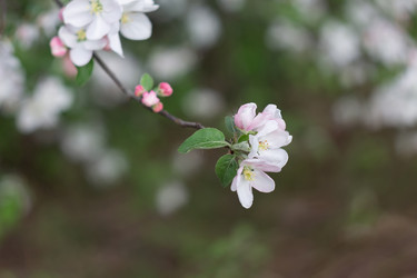 Similar image 22730183