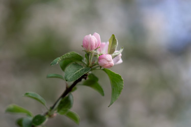 Similar image 22730184