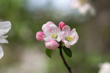 Similar image 22730189