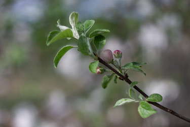 Similar image 22734750