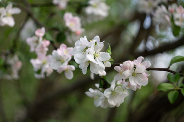 Similar image 22734751