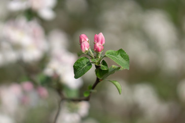 Similar image 22734754
