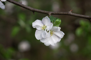 Similar image 22734756