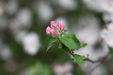 Similar image 22734758