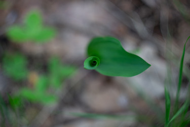 Similar image 22734768
