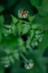 Similar image 22734769