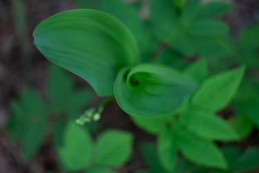 Similar image 22734770