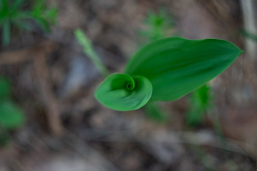 Similar image 22734771