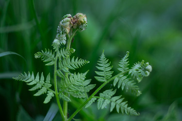 Similar image 22734774
