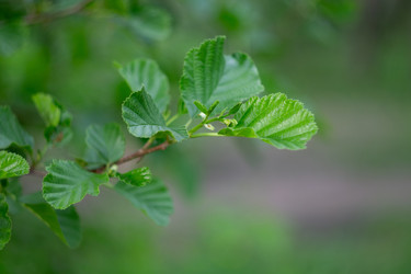 Similar image 22734777