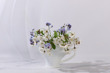 Similar image 22733567