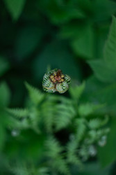 Similar image 22734779