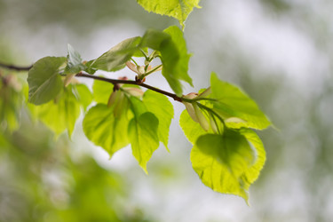Similar image 22734780