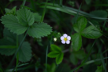 Similar image 22734782