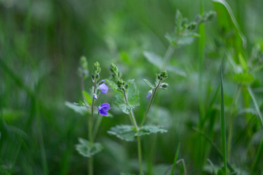 Similar image 22734783