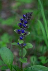 Similar image 22734786