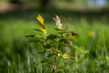 Similar image 22738168