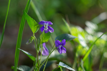 Similar image 22738169