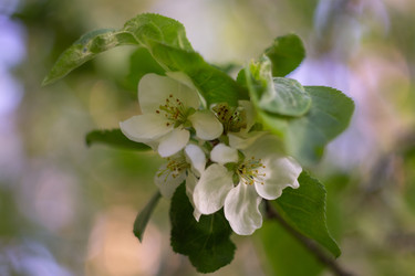 Similar image 22738170