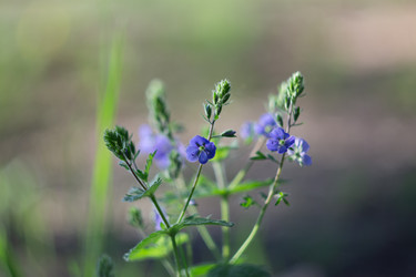 Similar image 22734788