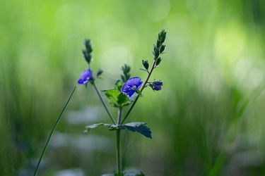 Similar image 22734794