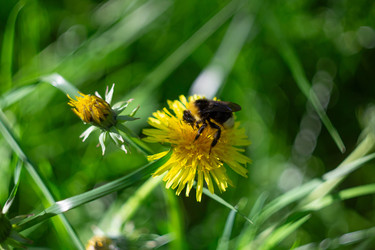 Similar image 22738179