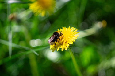 Similar image 22738191