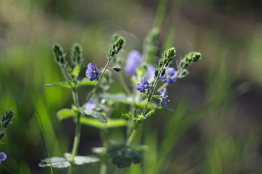 Similar image 22734798