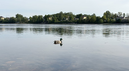 Similar image 22738325