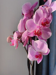 Similar image 22746896
