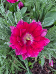 Similar image 22738483
