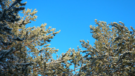 Similar image 22747897
