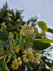 Similar image 22738487