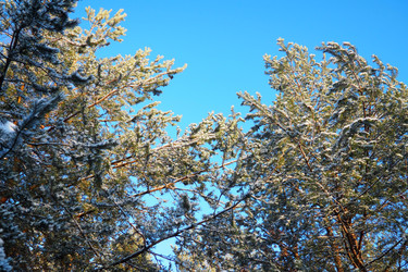 Similar image 22747808