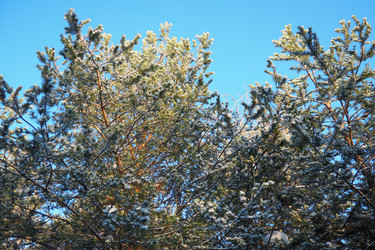 Similar image 22747832