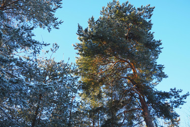 Similar image 22747837