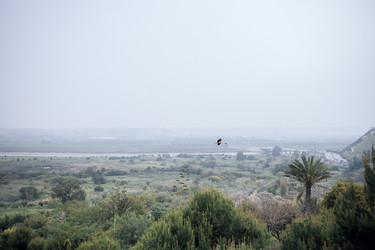 Similar image 22742372
