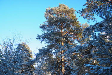Similar image 22747841