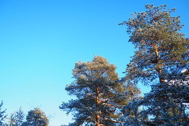 Similar image 22747843