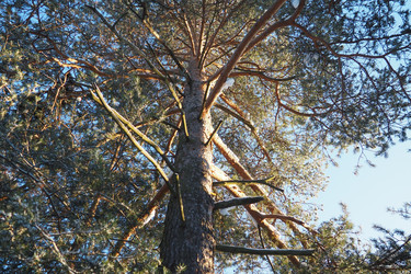 Similar image 22747852