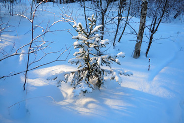 Similar image 22747861