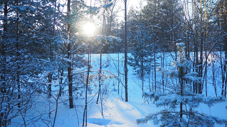 Similar image 22747866