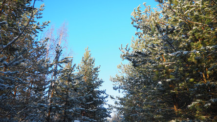 Similar image 22747889