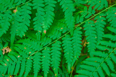 Similar image 22737514