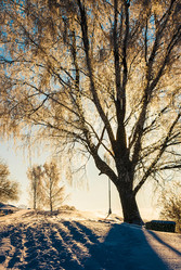 Similar image 22737524
