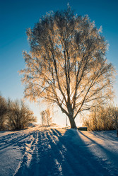 Similar image 22737536