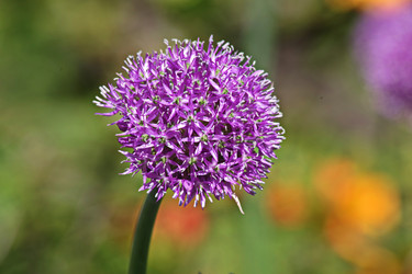 Similar image 22738475
