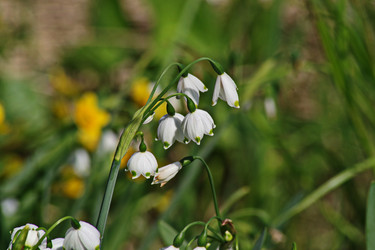 Similar image 22738479